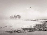 Three Birds, Alum Creek